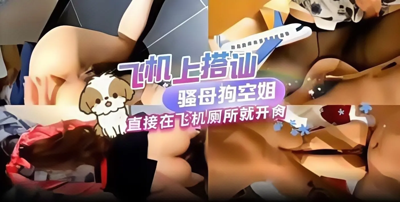 稀缺资源-真实空姐黑料 土豪重金搭讪黑丝空姐女神 直接在飞机上开操！-